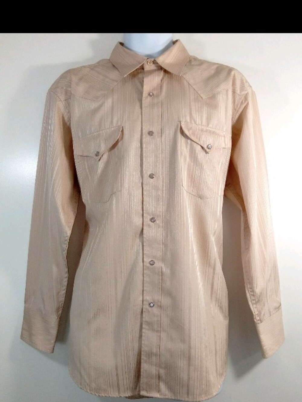 Panhandle Slim Beige Stripe Western Button-Down Shirt